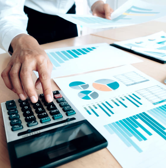 Small Business Accounting Service in Orland